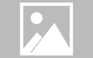 新乡信息系统网页设计（信息系统网页设计主要包括）